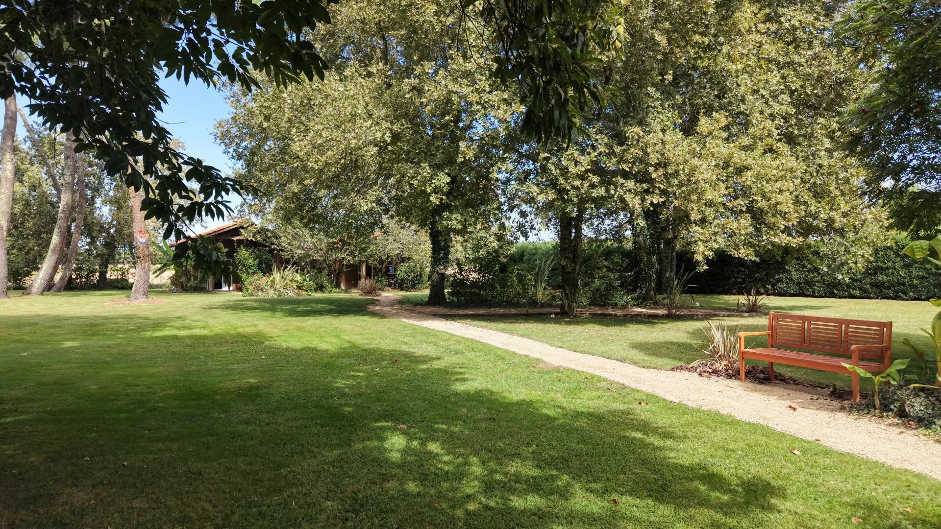 Garden of the property with cottages in Liposthey Wooded garden with path and bench, property with cottages in Liposthey.