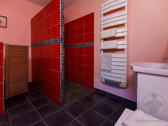 Bathroom with walk-in shower and red tiles