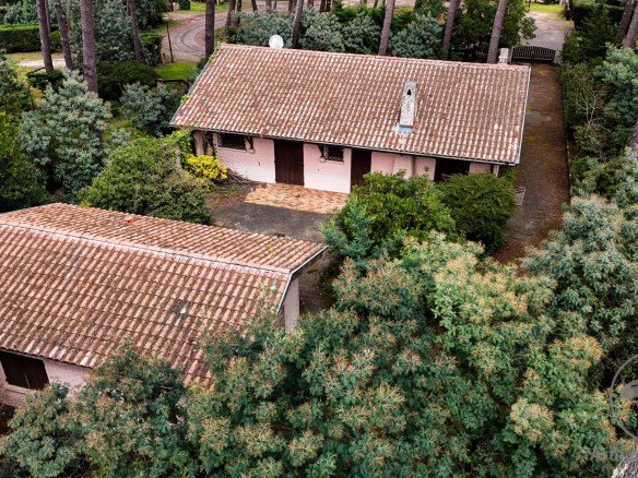 Biscarrosse Lac – Hautes Rives Ensemble Maison + Dépendance