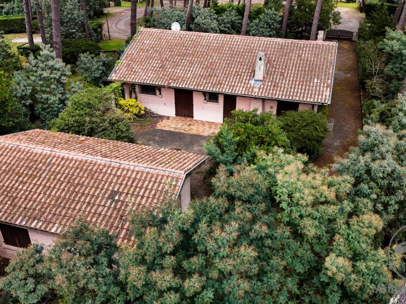 Biscarrosse Lac – Hautes Rives Ensemble Maison + Dépendance