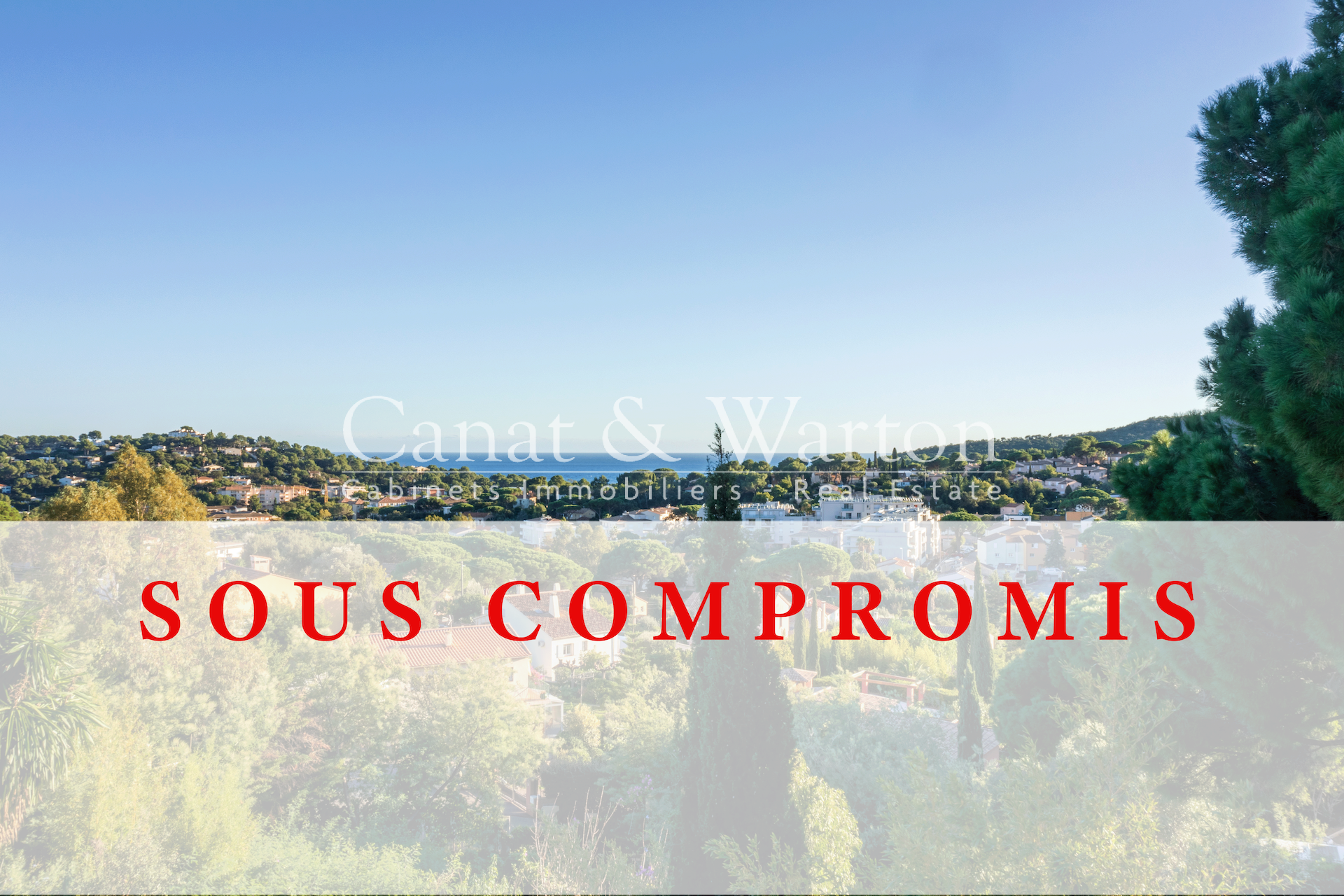 photo_44f201406b0f279f4ef7d3ee89ca40ff