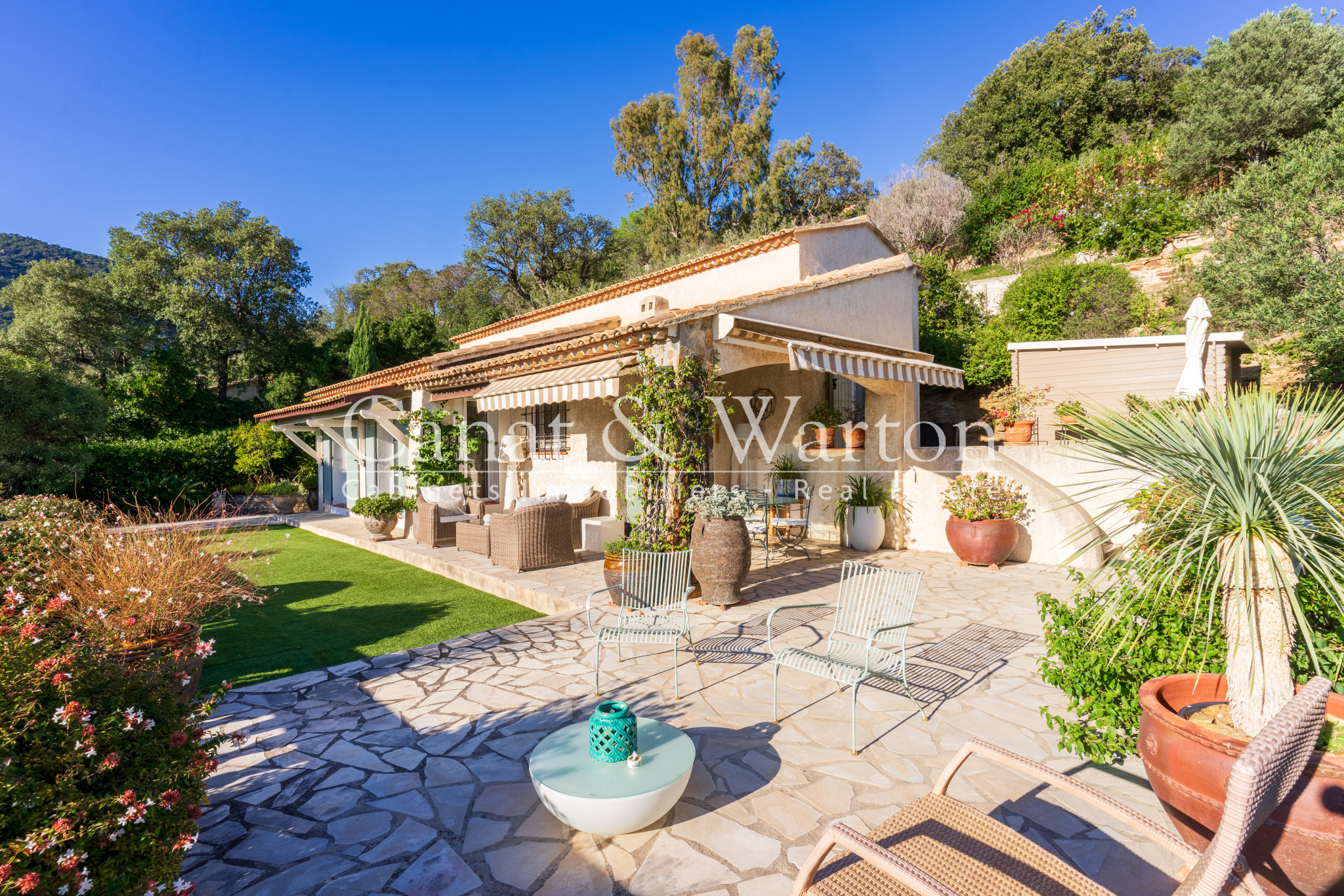 photo_21263a056a7676b85deec7f89fd8ae93