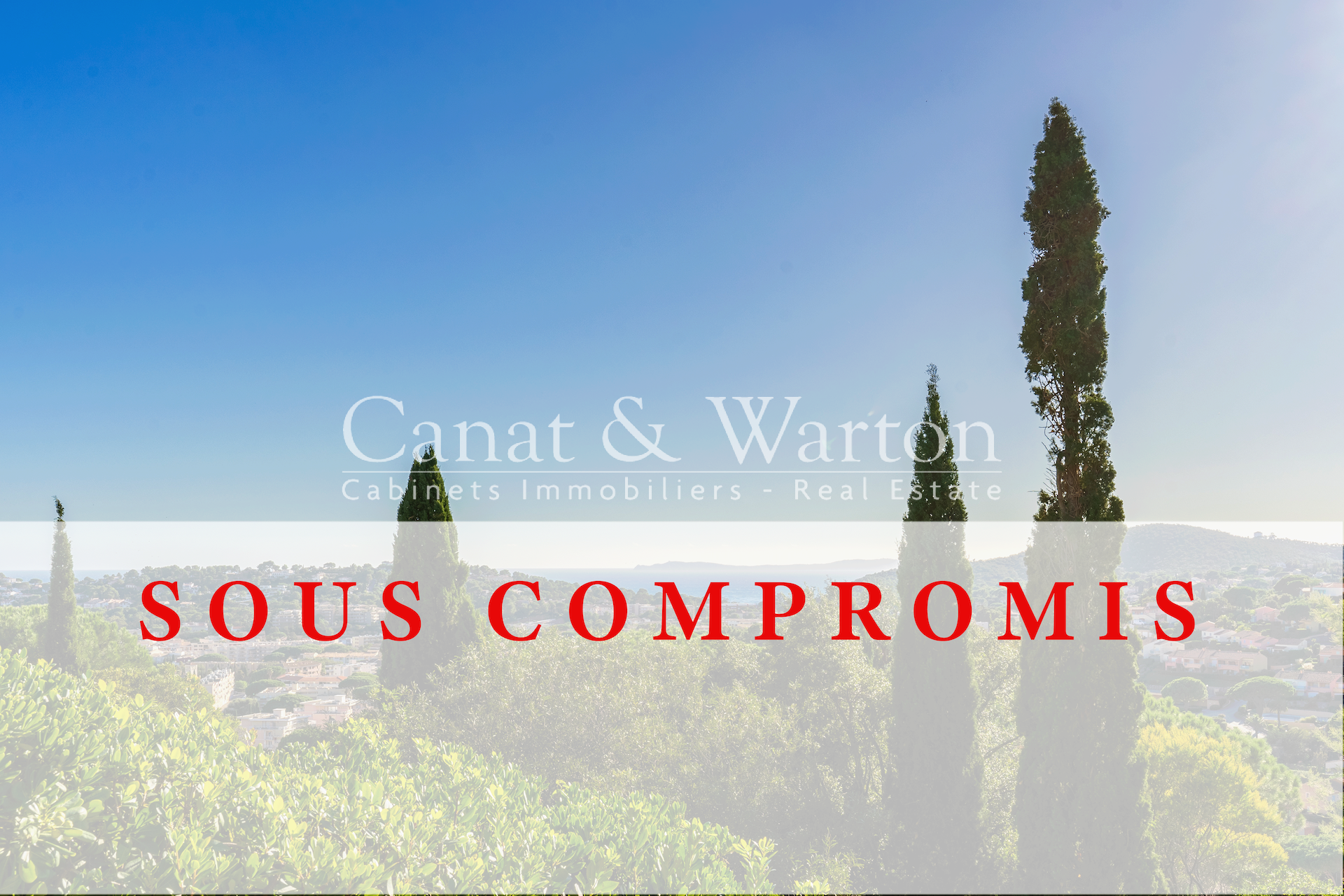 photo_c01529a6cf6498da3adede3ecc26ab4b