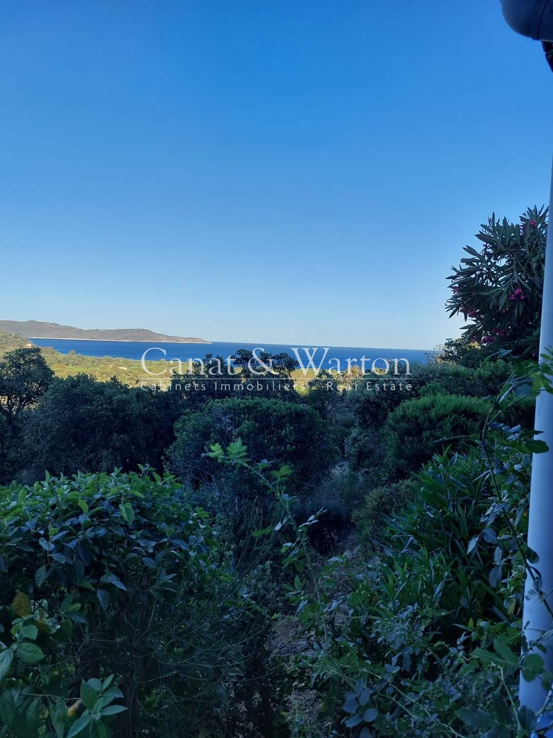 photo_f098291e4f41e15d93b2a53fe4c0dd67