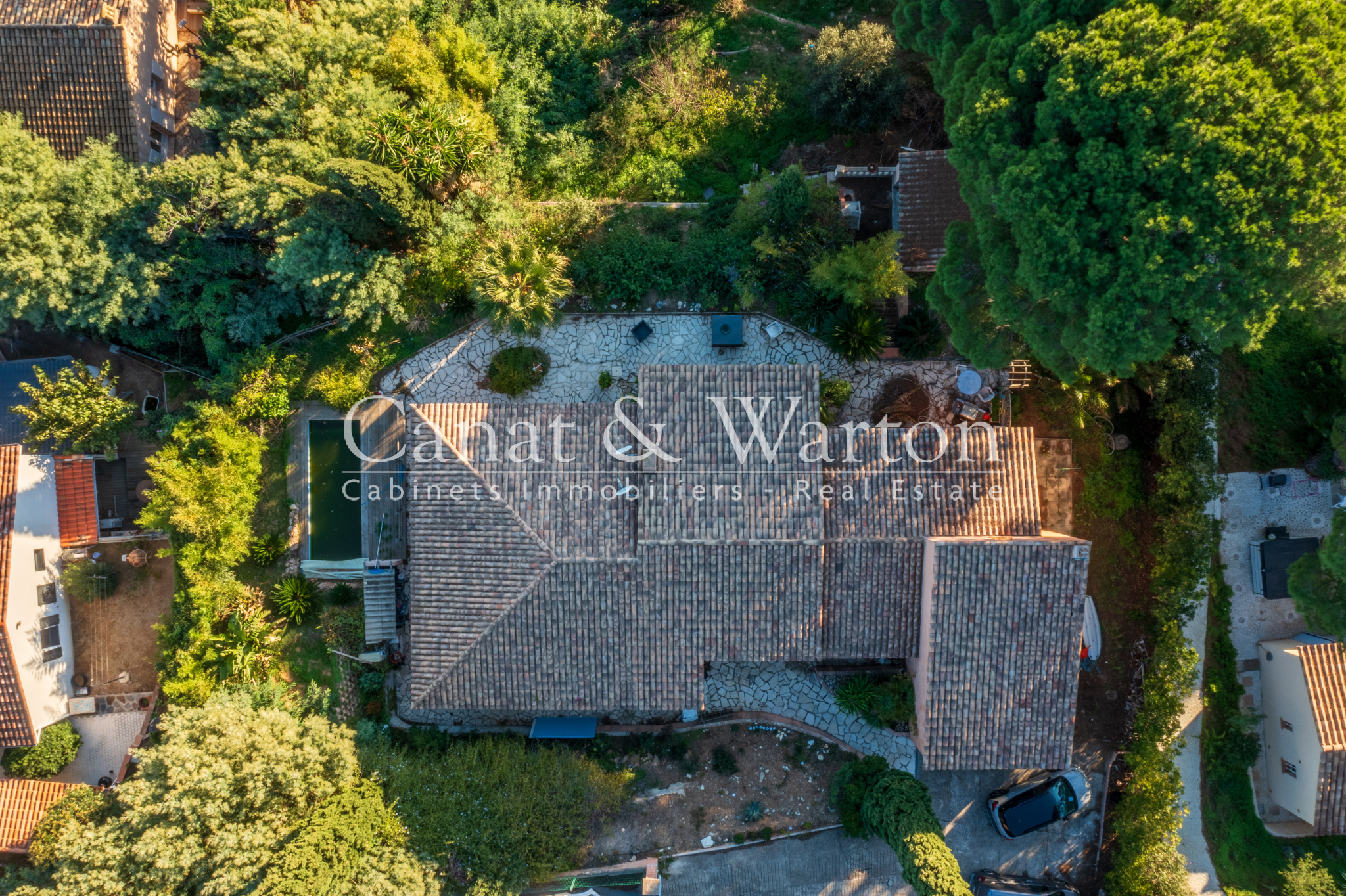 photo_8d1f2ef0ad478db130676cdb3bdb3bd0