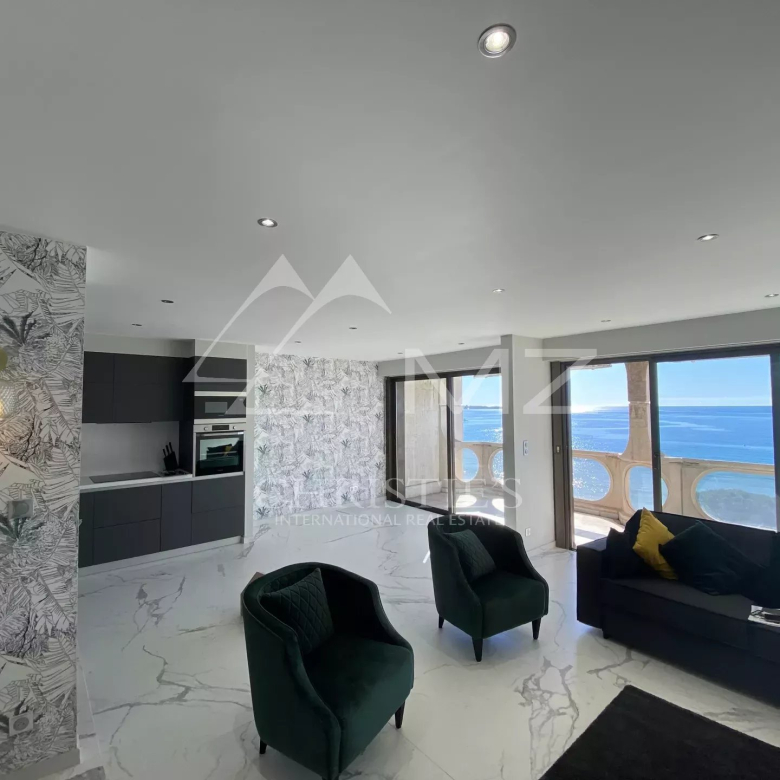 CAP MARTIN – PROPERTY
