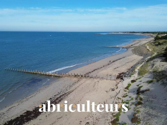 Grande villa de 200m² en front de mer – Très belle parcelle aux multiples possibilités – Plusieurs dépendances – L’Épine