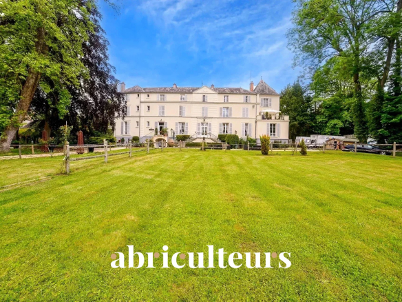 Renovated castle of more than 1,000 m² in an 11 ha park with pond, 1.5 hours from Paris-Morigny-Champigny