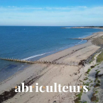 Large 200m² villa in seafront - very beautiful plot with multiple possibilities - several outbuildings - spine