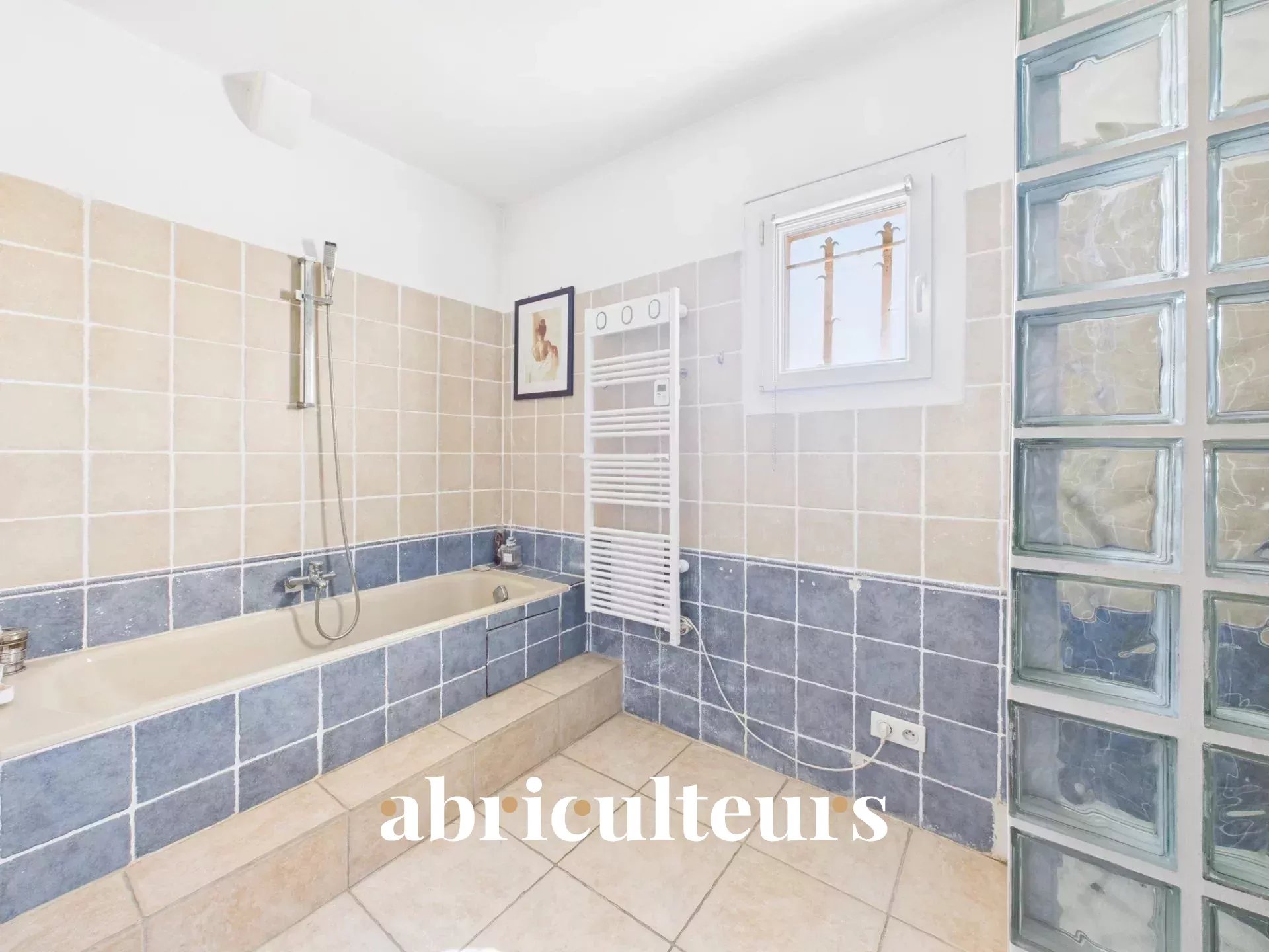 31098423dde00ed83285026dc414adea_fc0d286036_1920-original