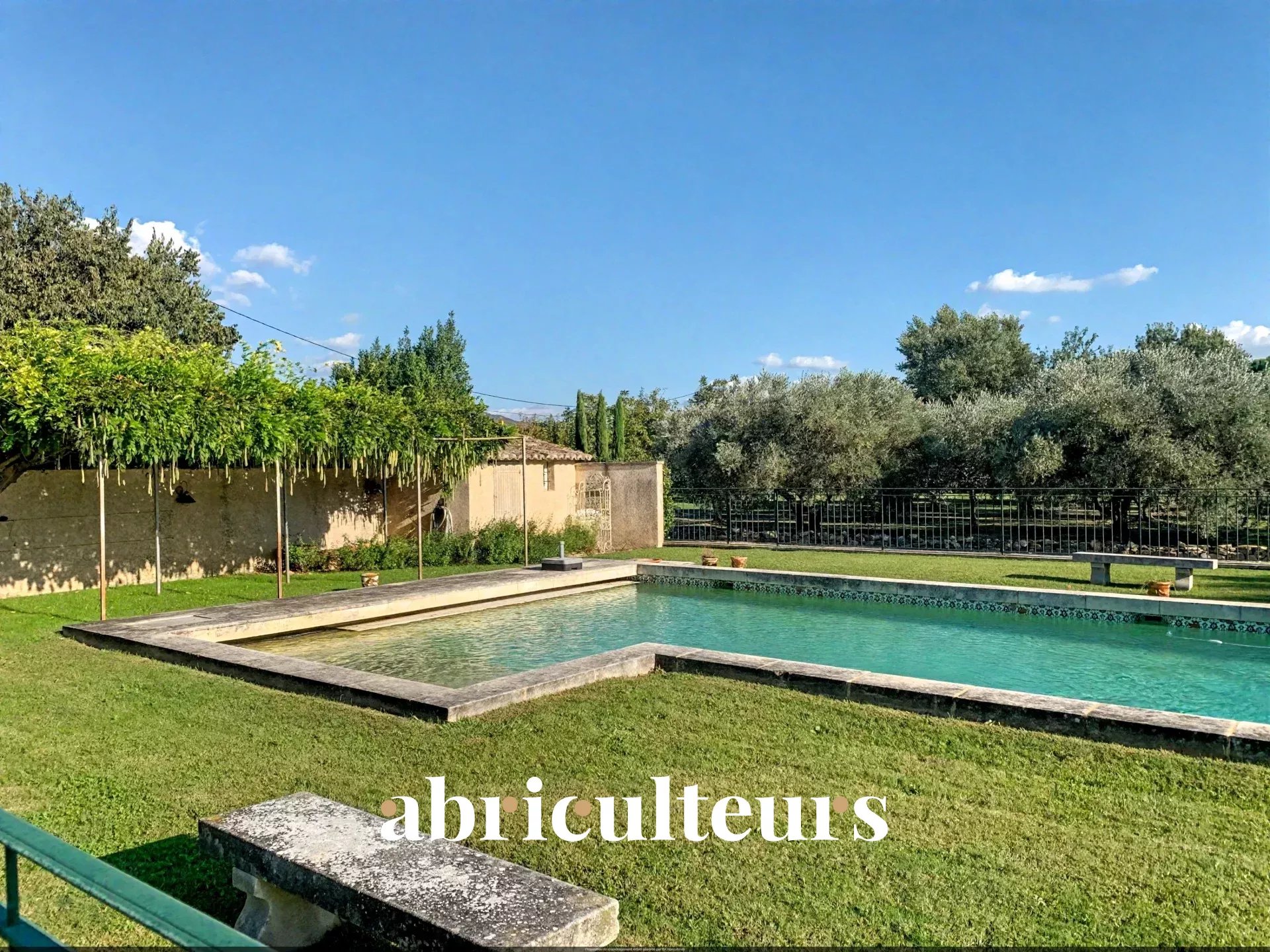 d1b710a680c7193bc1540eefe570b0d2_80f0317273_1920-original