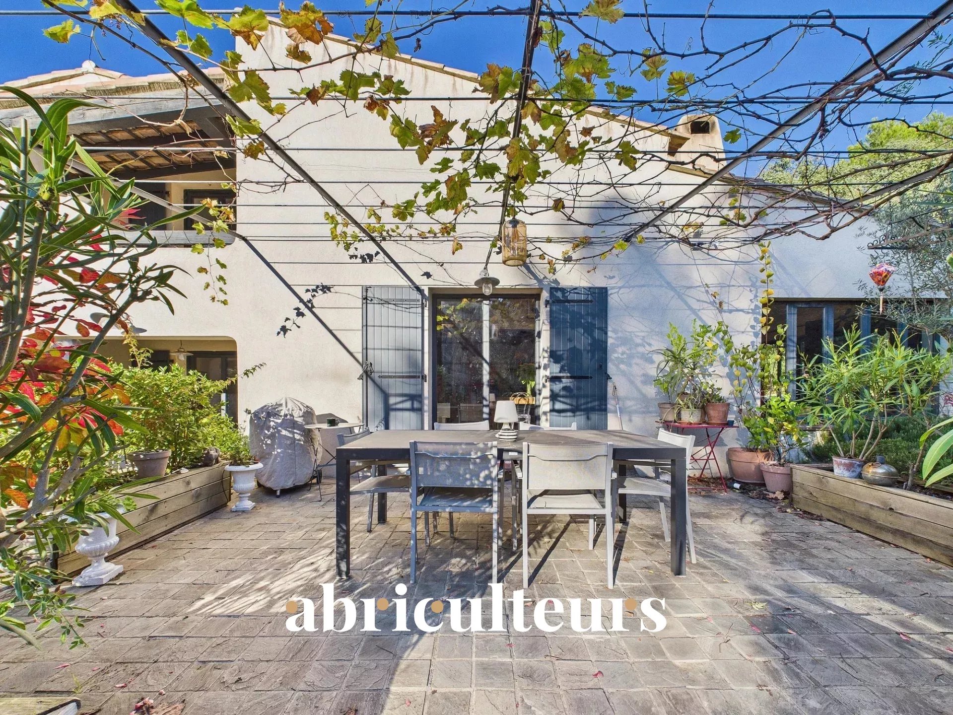 ae2b4853fd7910c6ae9f7f774682f81c_e33f23363e_1920-original