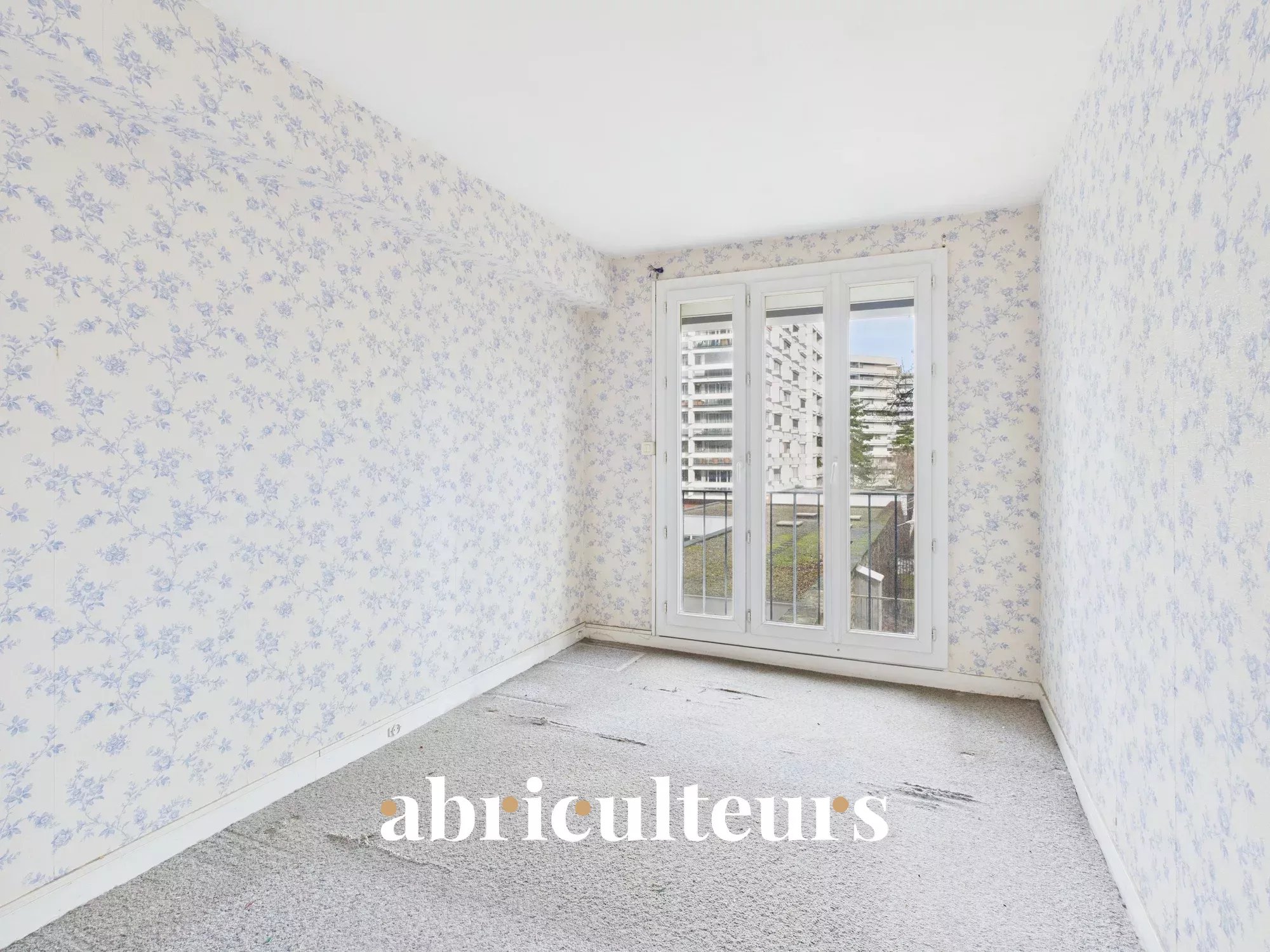 9086d6b52e04b2536819b0f5e2113c07_41fb89126c_2000-original