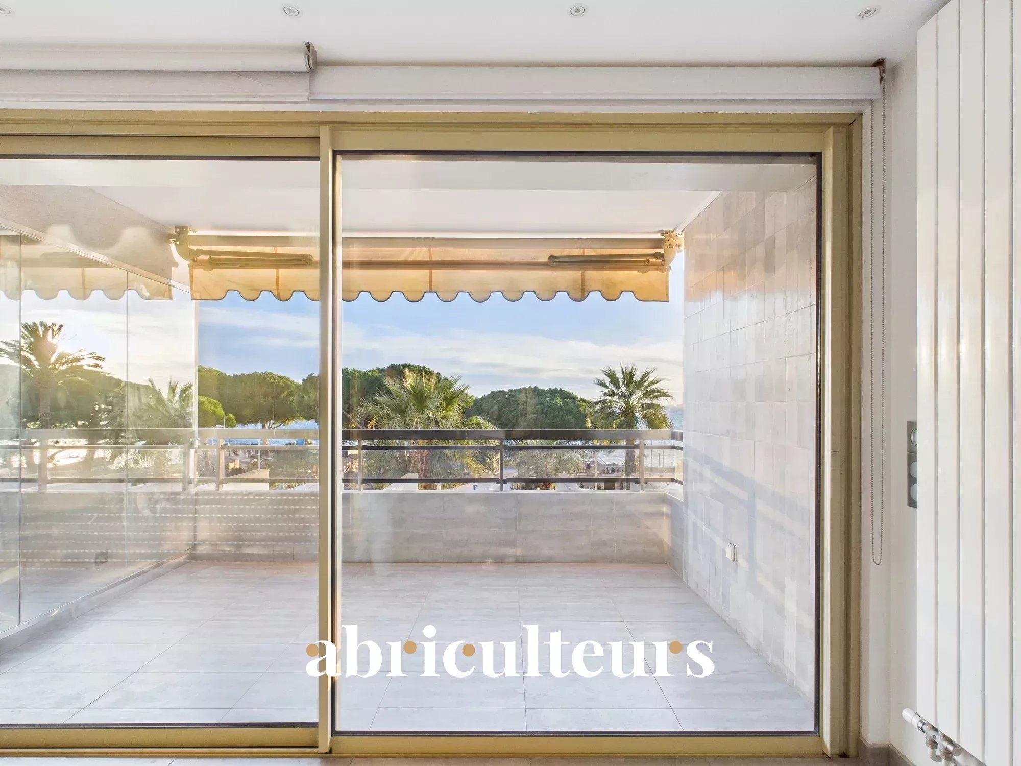 876b00c688c7f916443f545ba42173d6_0225351730_2000-original