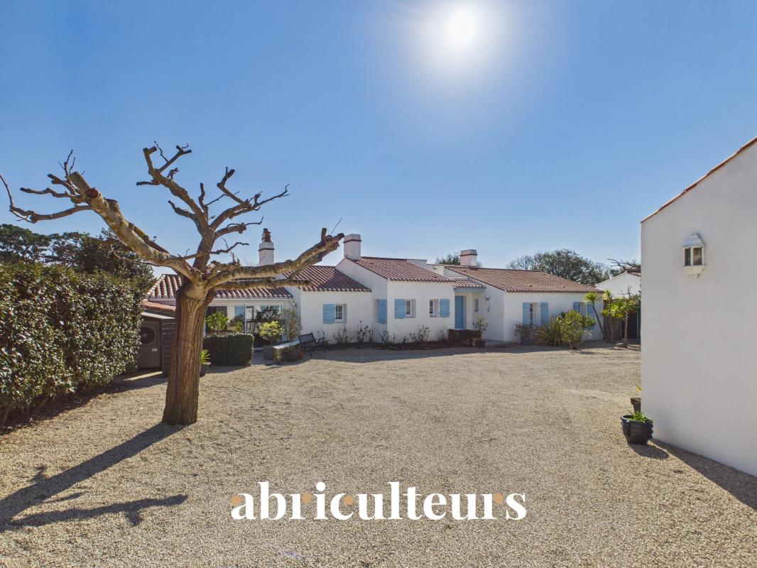 Sunny courtyard with white houses, blue shutters, and a leafless tree in a gravel yard under a bright sky.