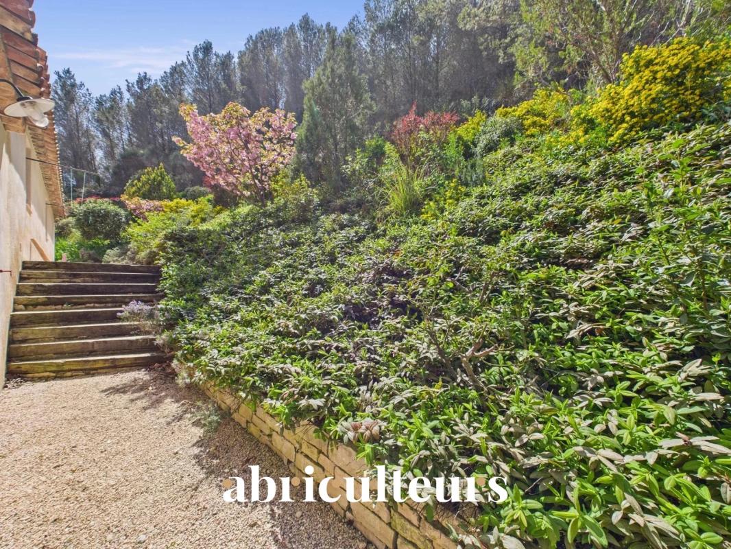 Sunlit garden scene with gravel path, stone steps on the left, and dense green hedges along a retaining wall; watermark 'abriculteurs' at the bottom.
