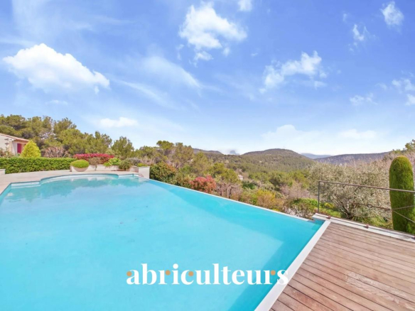 Infinity pool on a wooden deck with a mountain view under a bright blue sky; watermark reads 'abriculteurs' at the bottom.