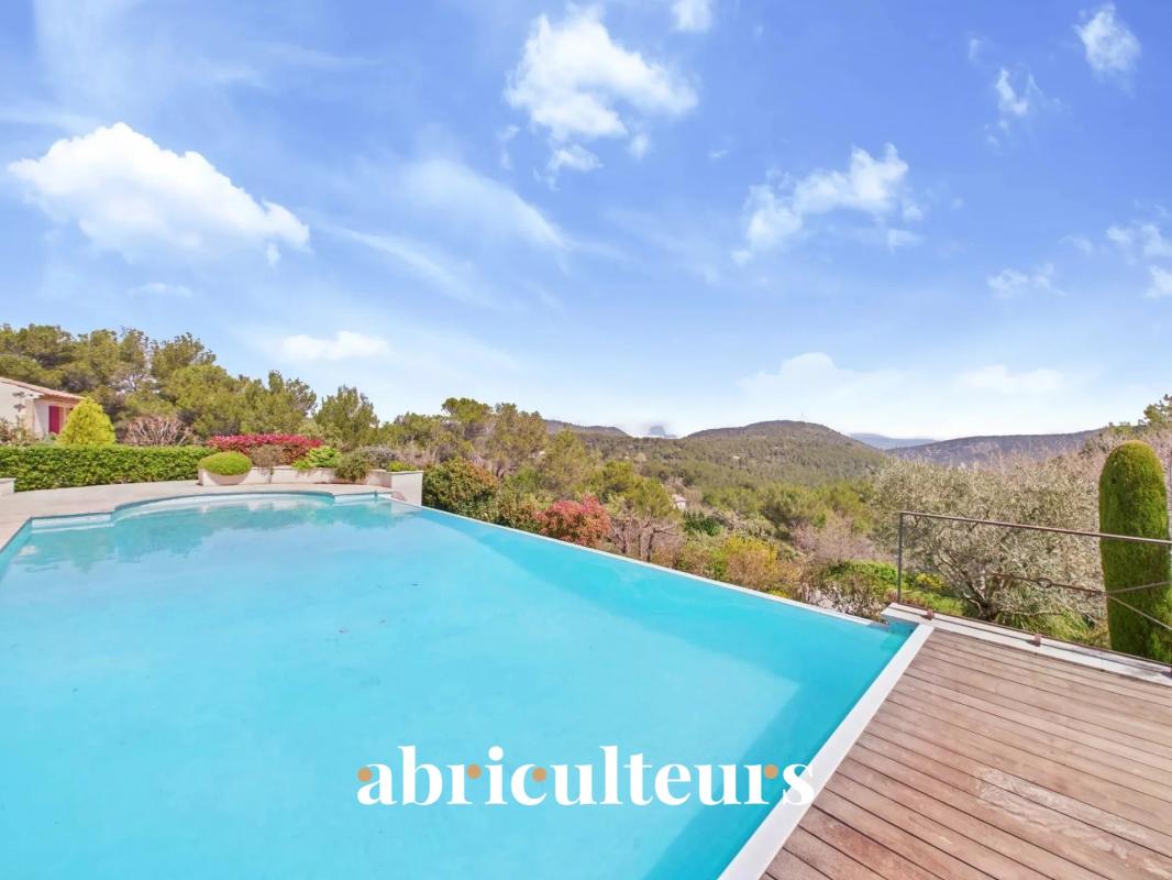 Infinity pool on a wooden deck with a mountain view under a bright blue sky; watermark reads 'abriculteurs' at the bottom.
