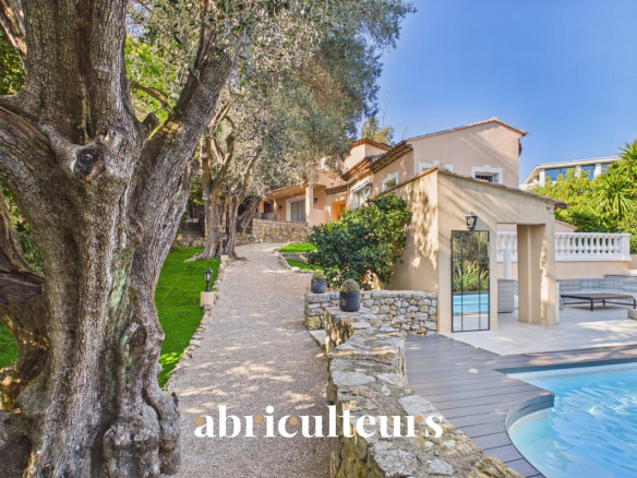 Path lined with large olive trees beside a beige villa and a blue pool in a sunny courtyard.