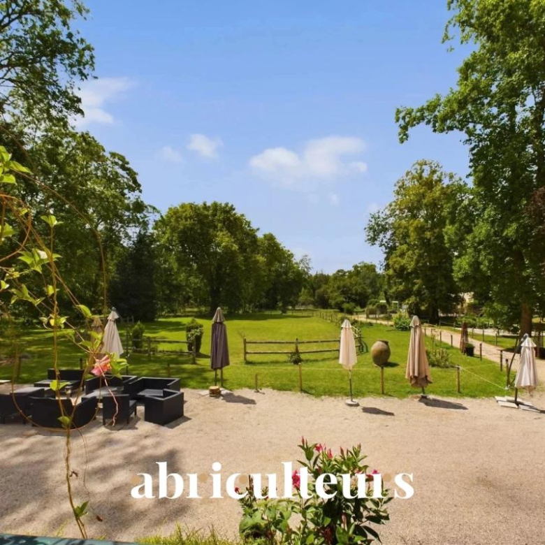Charming 2-bedroom apartment – ​​58 m² – Paris 6th arrondissement, Saint-Germain-des-Prés