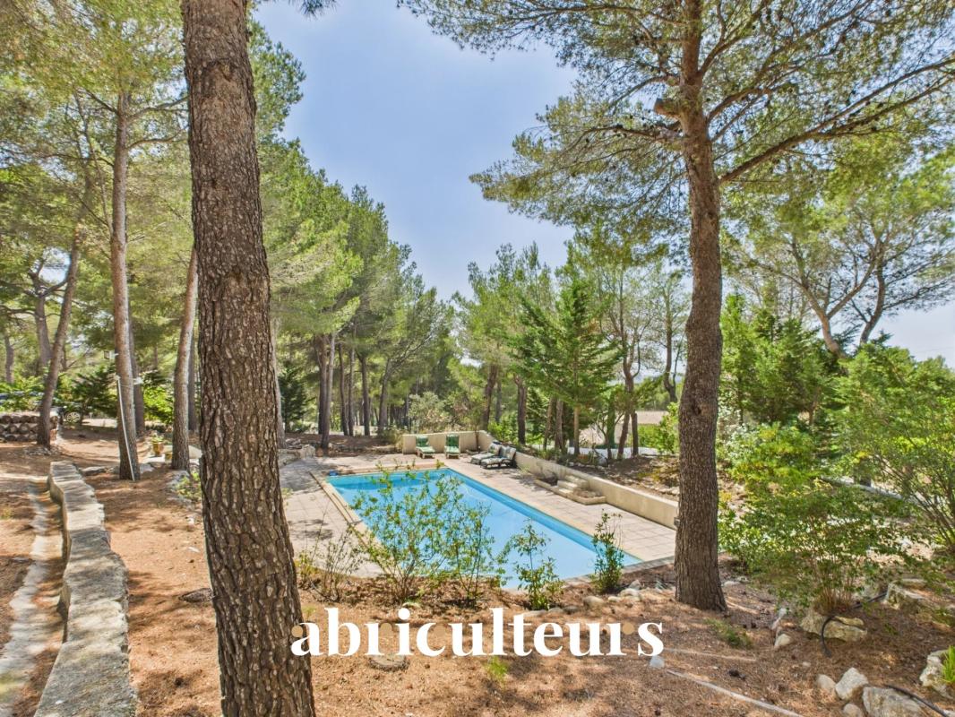 Swimming pool surrounded by pine trees in a 4000 m² wooded garden in Ventabren.