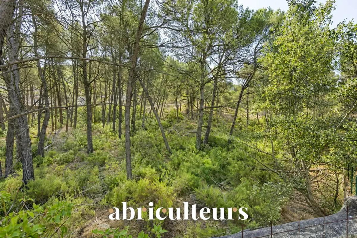 Terrain boisé aux Pennes-Mirabeau Terrain boisé avec des pins et de la végétation dense aux Pennes-Mirabeau.