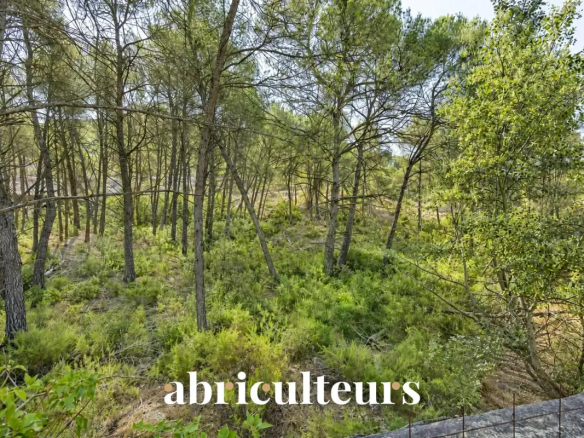 Green wooded land with pine trees and bushes, located in Les Pennes-Mirabeau.