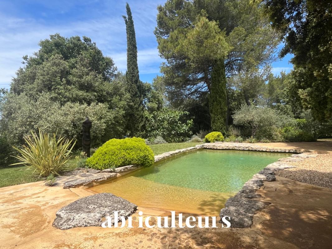Villa d’architecte avec piscine à Cheval-Blanc Piscine naturelle entourée de verdure dans une villa rénovée à Cheval-Blanc.