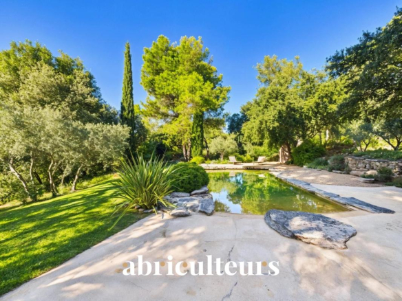 Vue de la piscine naturelle entourée d'arbres et de verdure dans une villa à Cheval-Blanc.