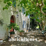 Mas Exceptionnel du 16ième à Saint-Hippolyte-du-Fort avec vue panoramique – 9 pièces – 5 chambres