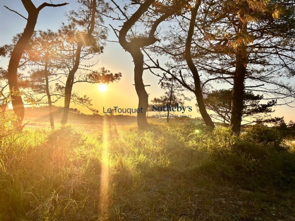 Sunset through the trees in the dunes at Le Touquet-Paris-Plage.