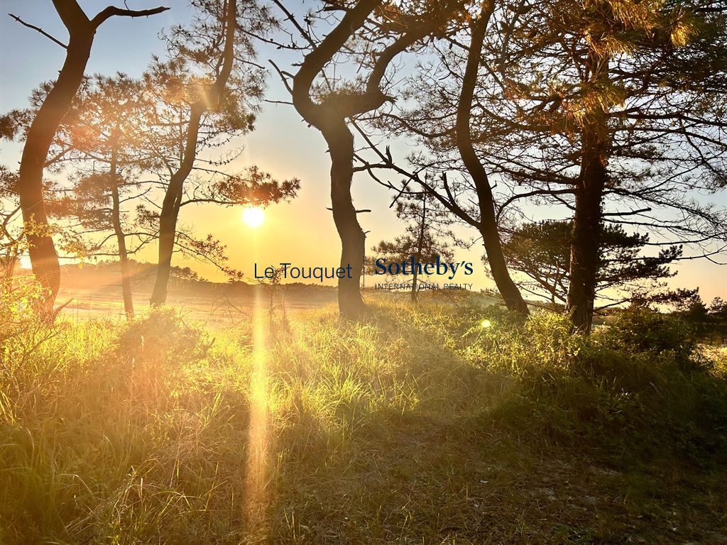 Sunset through the trees in the dunes at Le Touquet-Paris-Plage.