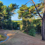 Unique villa in pine forest of Hardelot with sea view