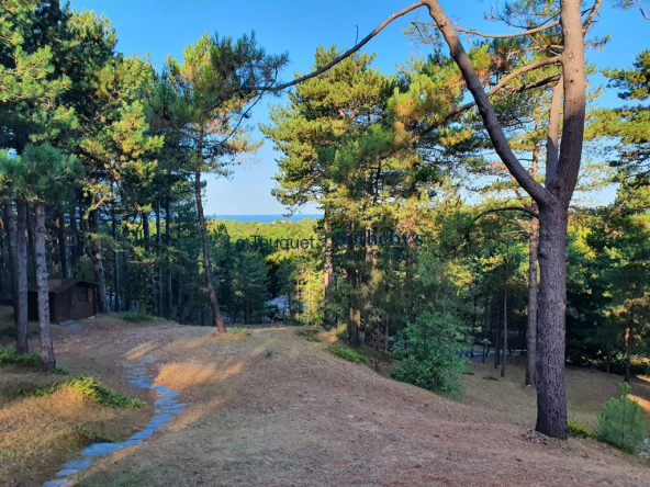 Villa unique en pinède d’Hardelot avec vue Mer