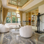 MAGNIFICENT 19th century MANSION