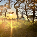 TOUQUET GOLF – VILLA D’ARCHITECTE DANS UN ENVIRONNEMENT PRIVILEGIE