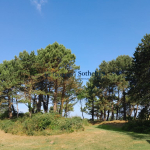TOUQUET GOLF – VILLA D’ARCHITECTE DANS UN ENVIRONNEMENT PRIVILEGIE